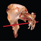 Image for article titled Modern Forensics Reveal Gruesome Details Of King Richard III's Death